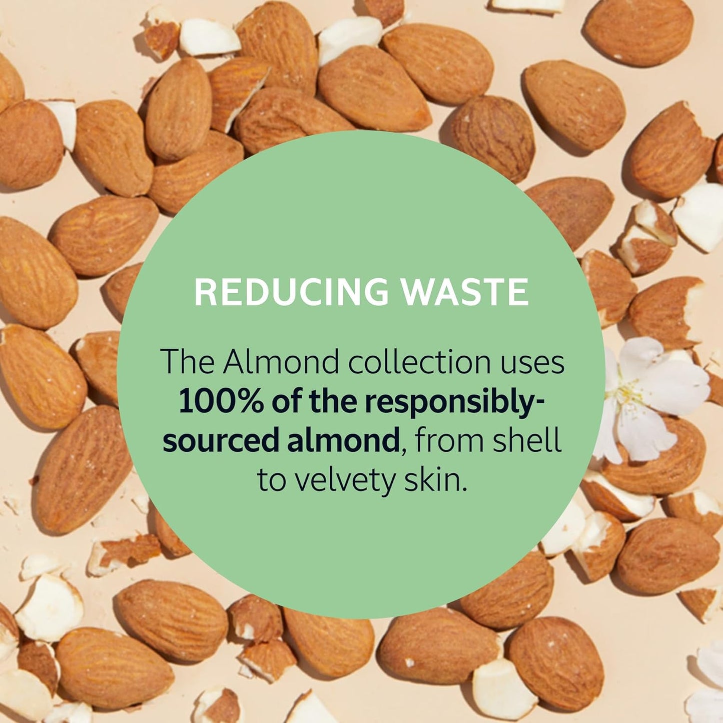 L'Occitane Almond Milk Concentrate, 48 Hour Hydration*, Moisturizes, Firms & Smooths Skin with Almond Milk & Oil..