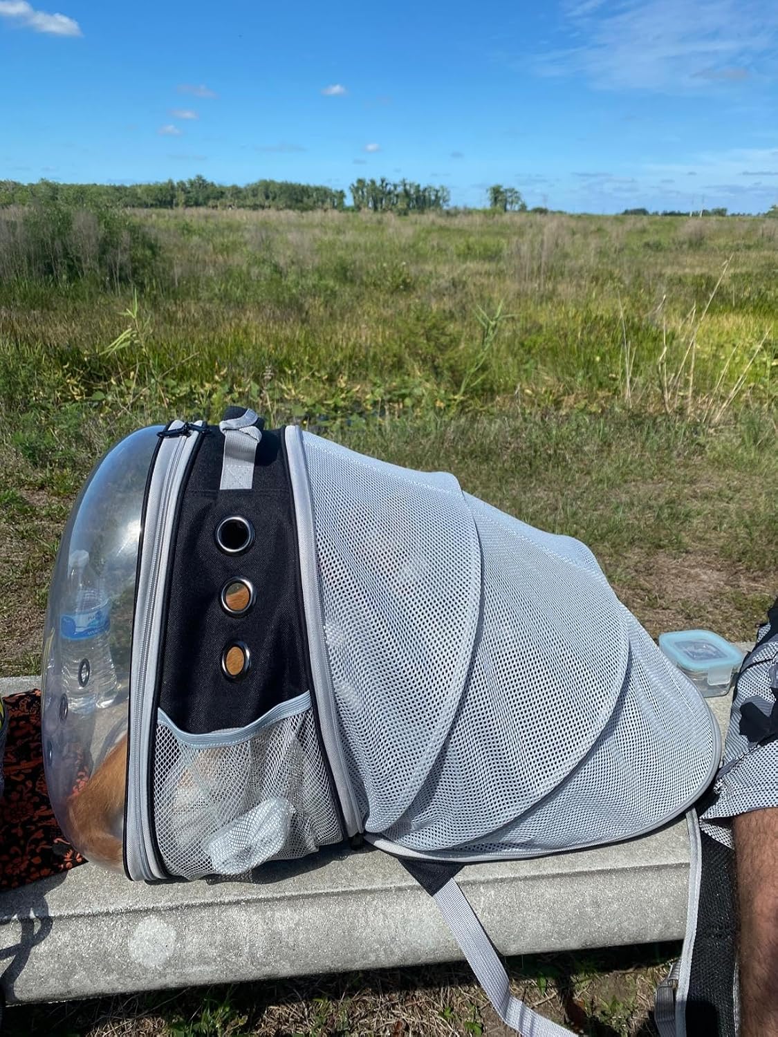Back Expandable Cat Backpack Carrier, Fit up to 12 lbs..