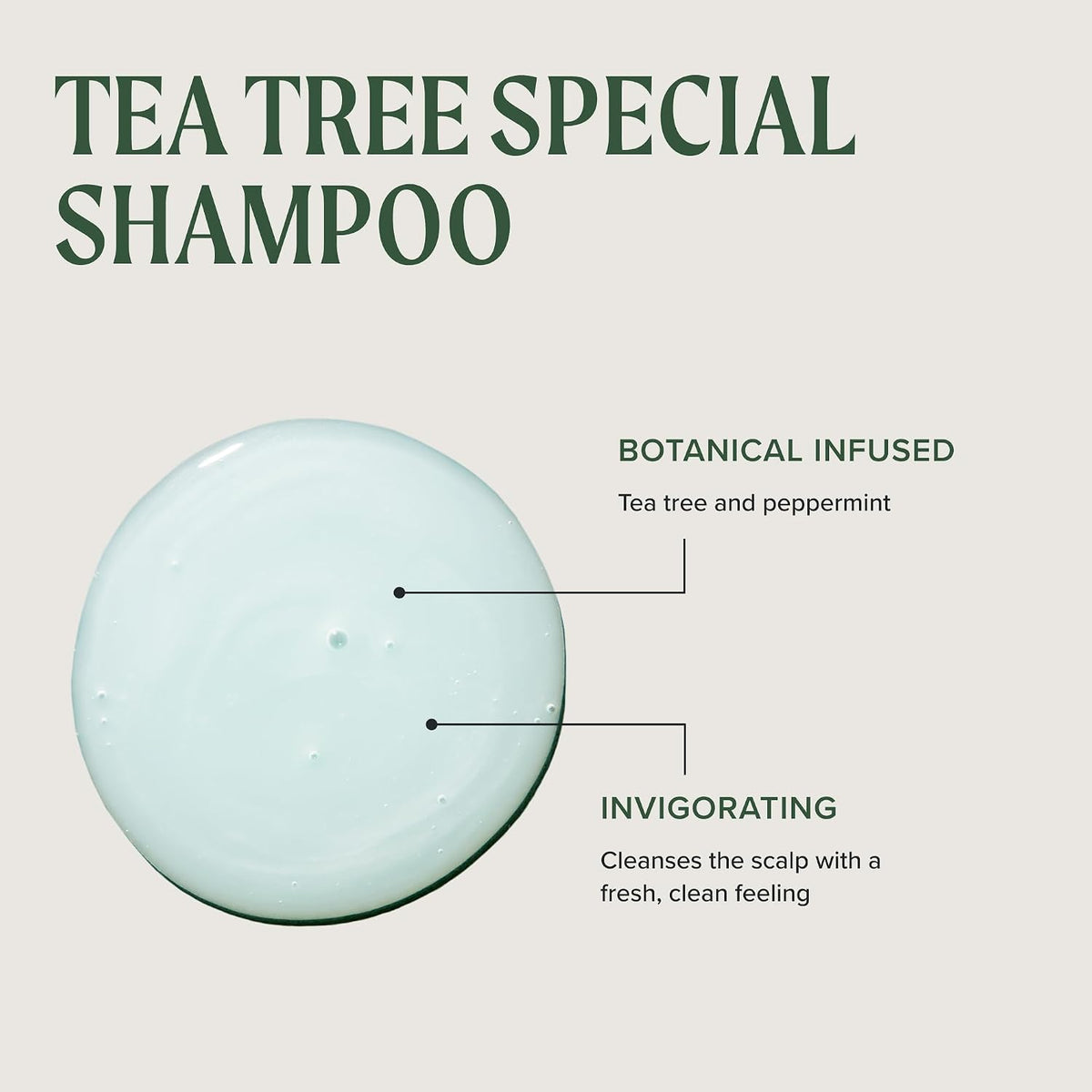 Tea Tree Special Shampoo, Deep Cleans, Refreshes Scalp