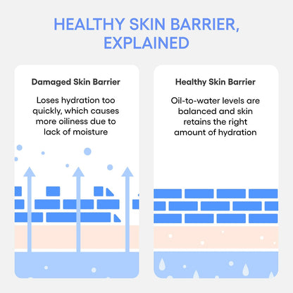 LANEIGE Water Bank Blue Hyaluronic Acid Cream Daily Face Moisturizer