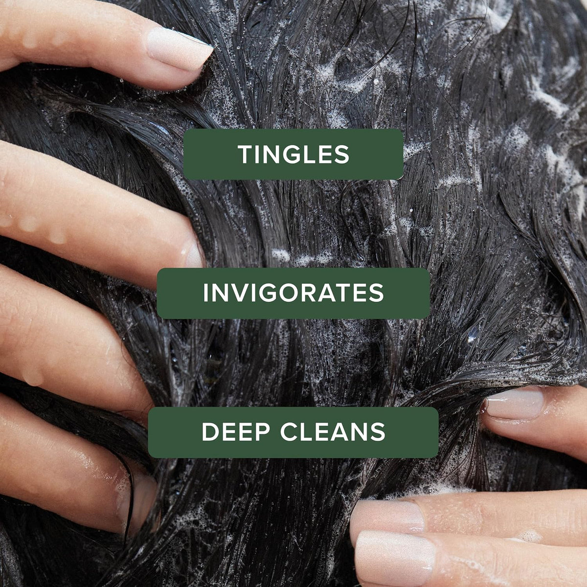 Tea Tree Special Shampoo, Deep Cleans, Refreshes Scalp