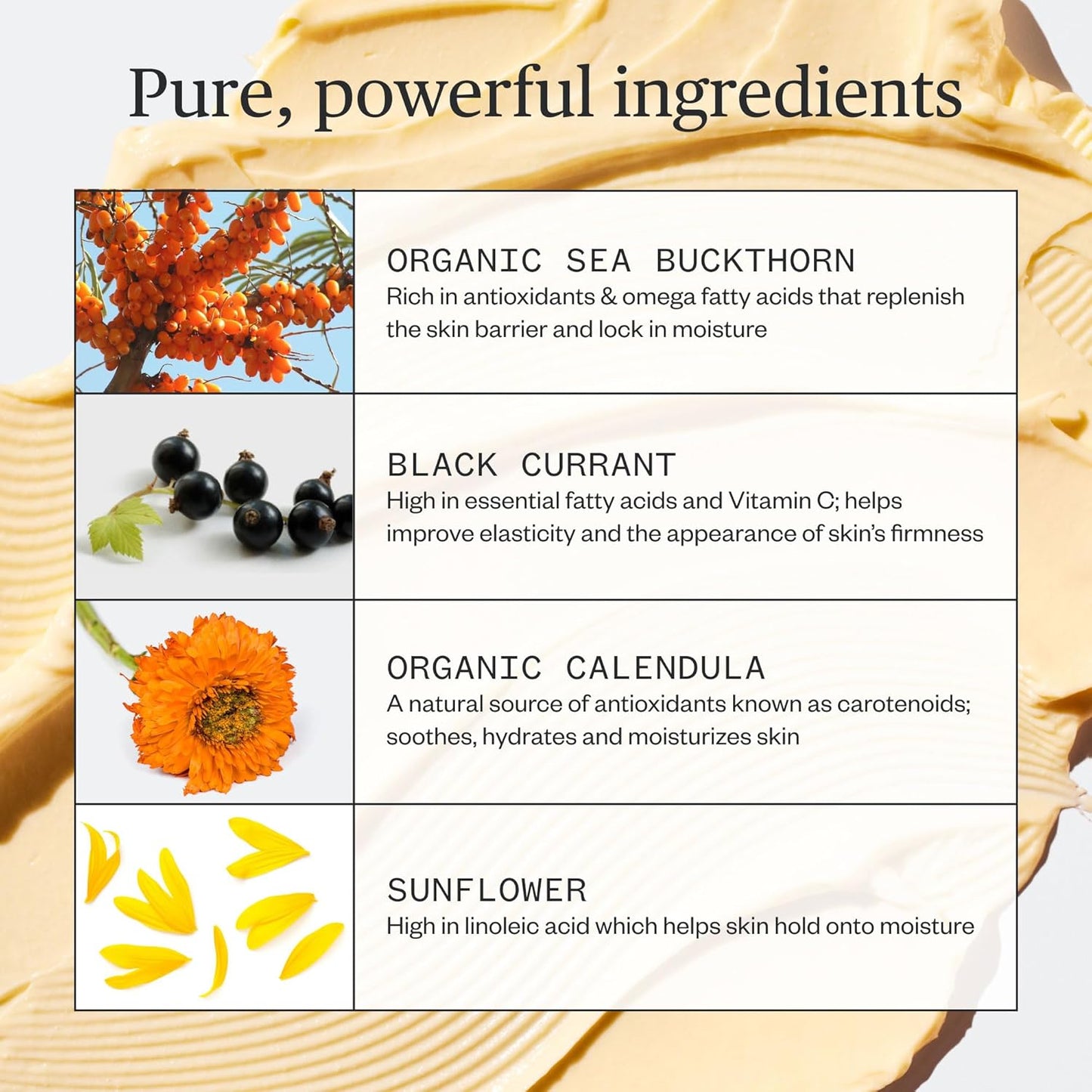 Ursa Major Golden Hour Face Moisturizer | Vegan Recovery Cream for Daily Facial Moisturizing ..