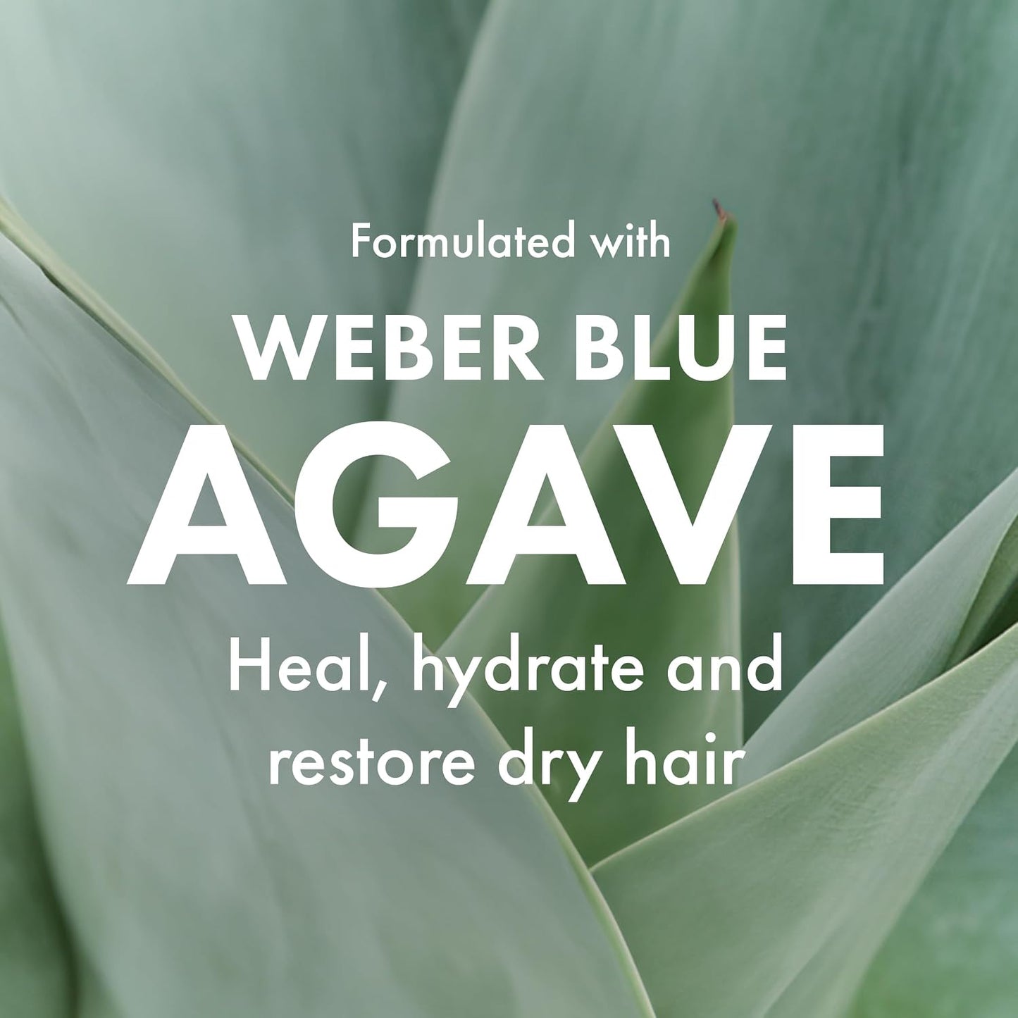 Agave Smoothing Conditioner for Moisture and Frizz Control, 8.5 Fl Oz | Lightweight Hydration, Detangles Hair..