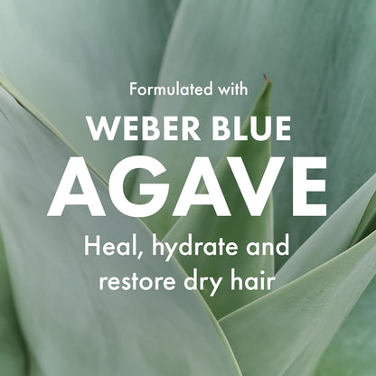 Agave Smoothing Conditioner for Moisture and Frizz Control, 8.5 Fl Oz | Lightweight Hydration, Detangles Hair..