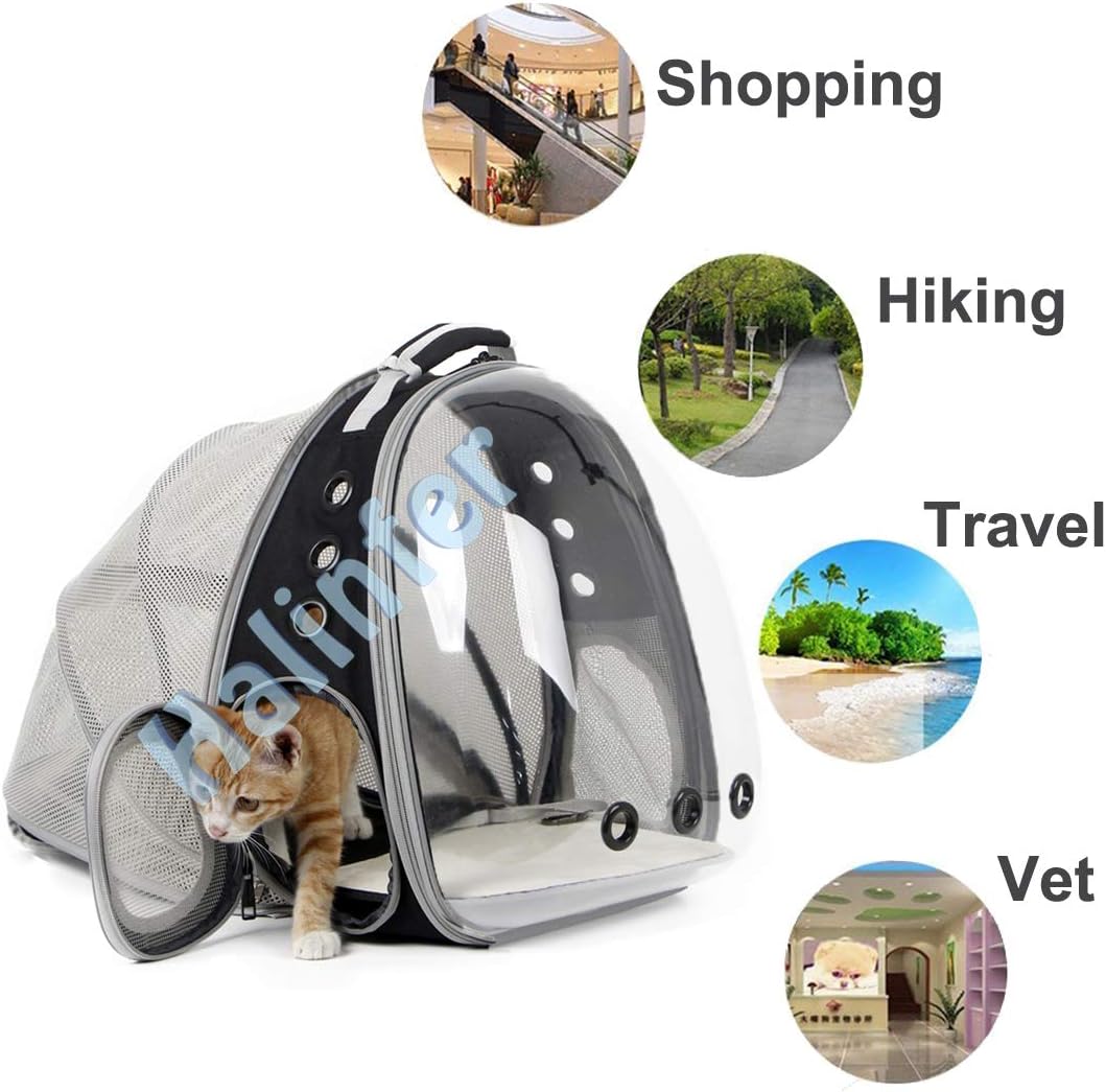 Back Expandable Cat Backpack Carrier, Fit up to 12 lbs..