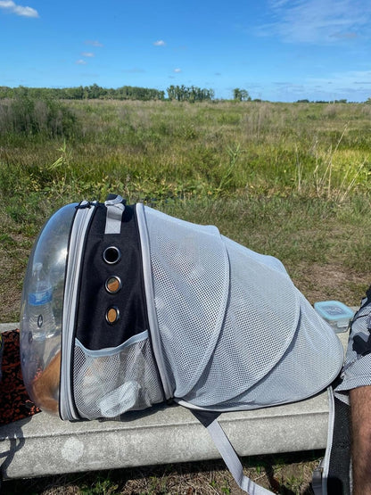 Back Expandable Cat Backpack Carrier, Fit up to 12 lbs..