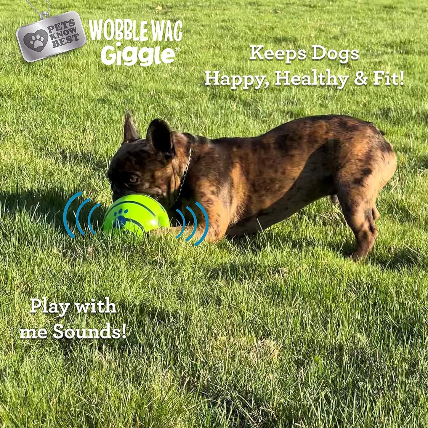 Ball, Interactive Dog Toy, Fun Giggle Sounds When Rolled or Shaken, Pets Know Best, As Seen On TV