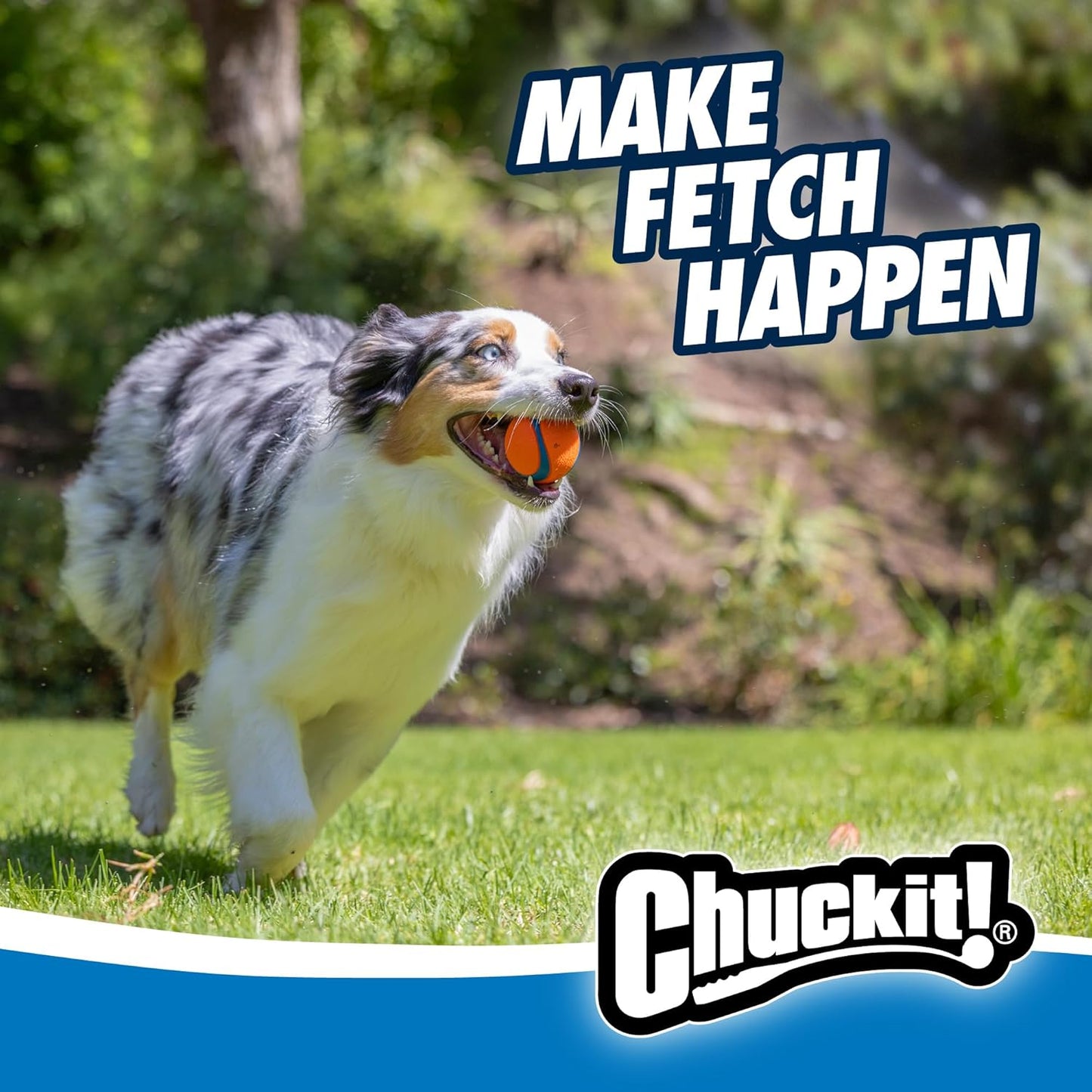 huckit! Dog Balls - Interactive Dog Toys, High-Bounce Fetch Ball, Set of 3