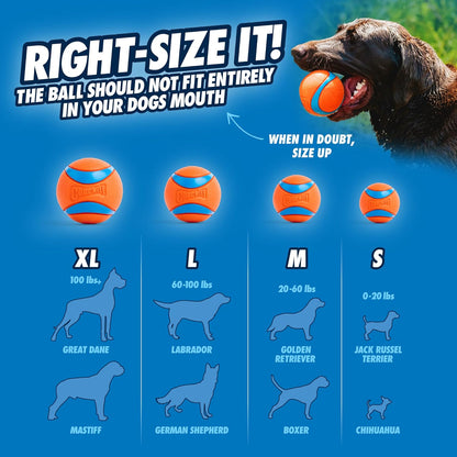 huckit! Dog Balls - Interactive Dog Toys, High-Bounce Fetch Ball, Set of 3