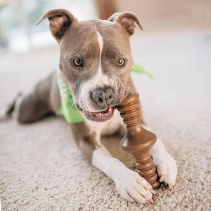 Benebone Large 4-Pack Dog Chew Toys for Aggressive Chewers