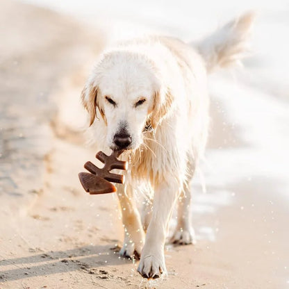 Benebone Large 4-Pack Dog Chew Toys for Aggressive Chewers