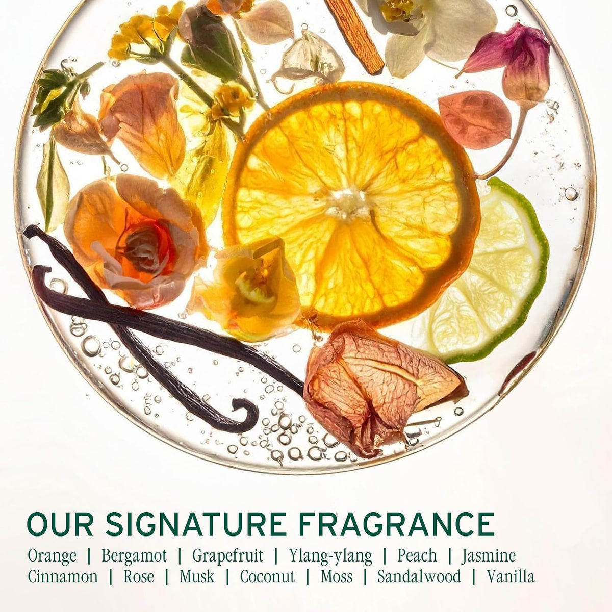 Biolage Color Last Shampoo – For Color-Treated Hair