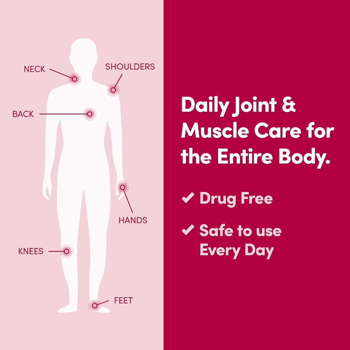 Penetrex Daily Joint & Muscle Care Pack | Arnica, B6 & MSM (2oz & 4oz Jars)..