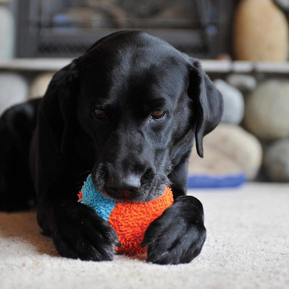 Indoor Fetch Shaker for Dogs - Interactive Dog Toys for Boredom, 7.75 Inch, Orange and Blue
