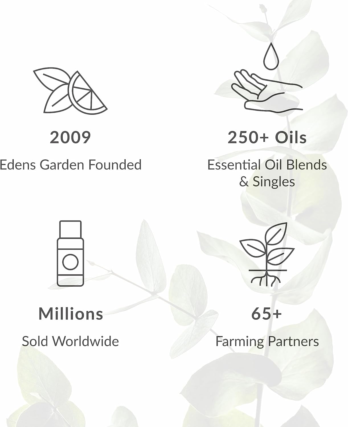 Edens Garden Nausea &amp; Motion Sickness Essential Oil Roll-On Blend- 100% Pure Premium Grade, Natural, Therapeutic..