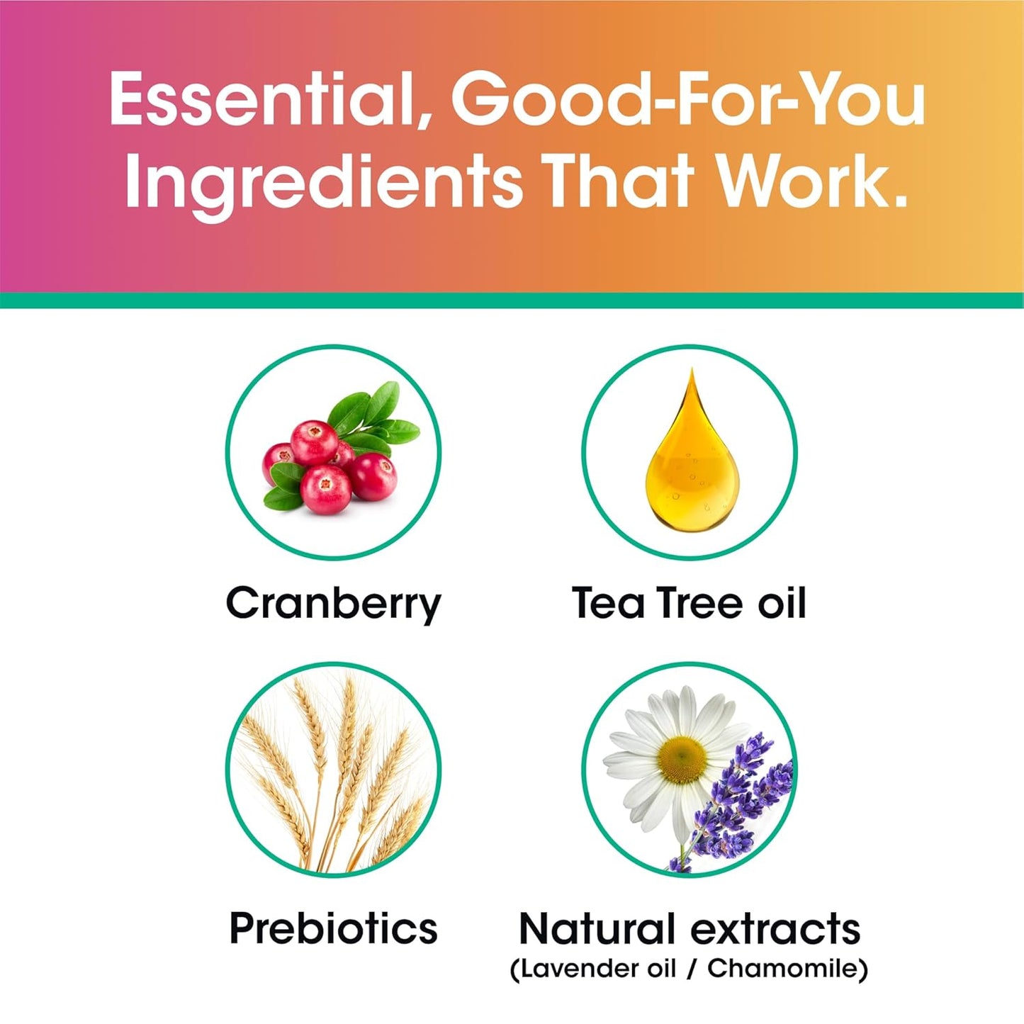 vH Essentials Daily Feminine Wash - 10 Fl Oz - Odor Eliminating Vaginal Wash with Tea Tree Oil, Prebiotics and Cranberry..