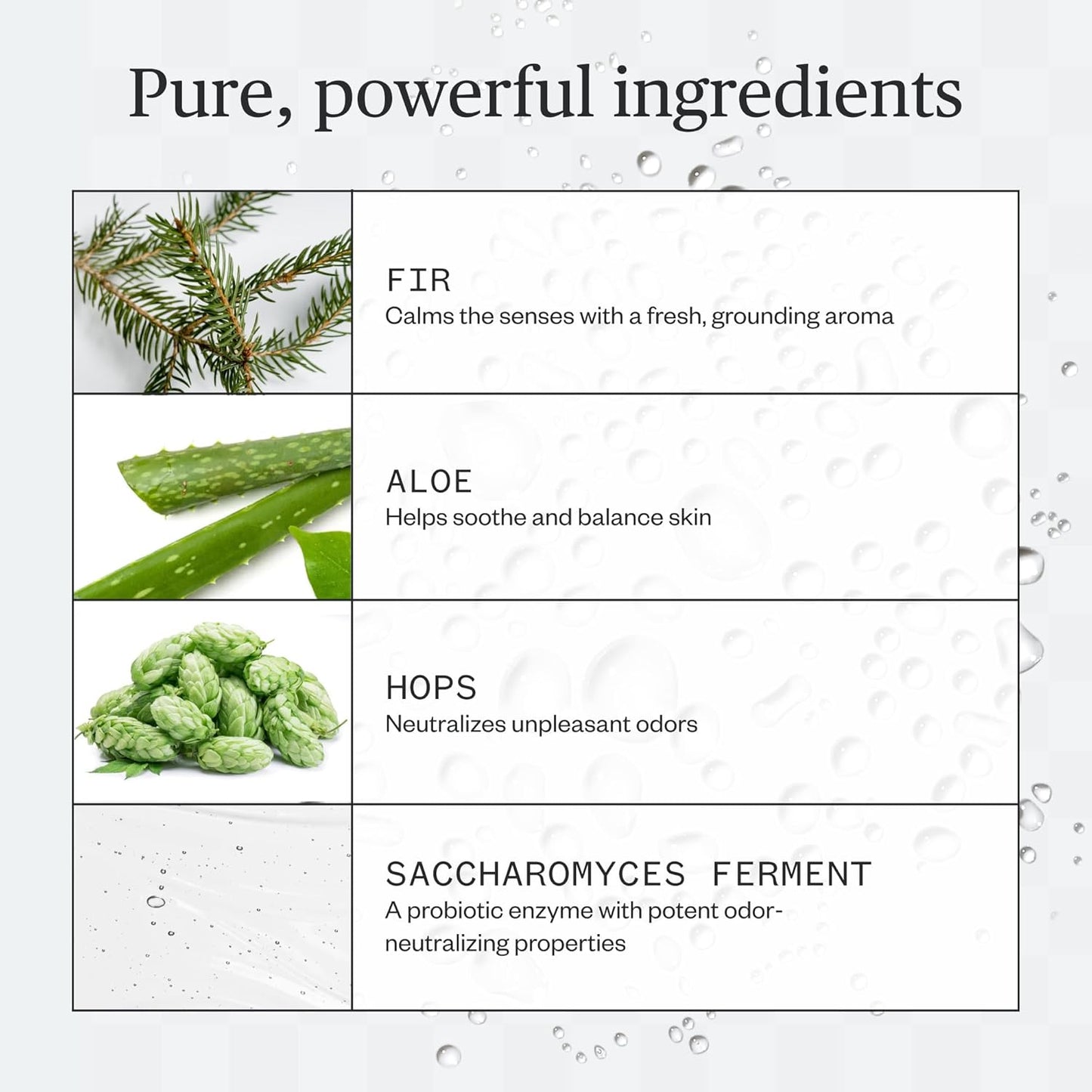 Ursa Major Forest Fix Spray Deodorant | Formerly Known As Sublime Sage | Aluminum-Free &amp; Baking-Soda Free...