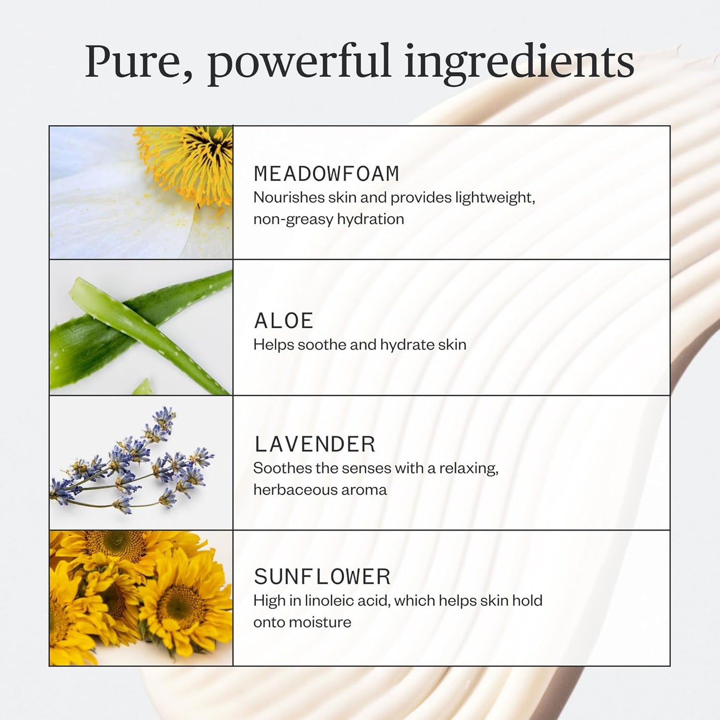 Ursa Major Botanic Buzz Body Lotion | Natural, Vegan and Cruelty-Free | Moisturizes, Soothes and Hydrates Skin | Formulated for Men & Women