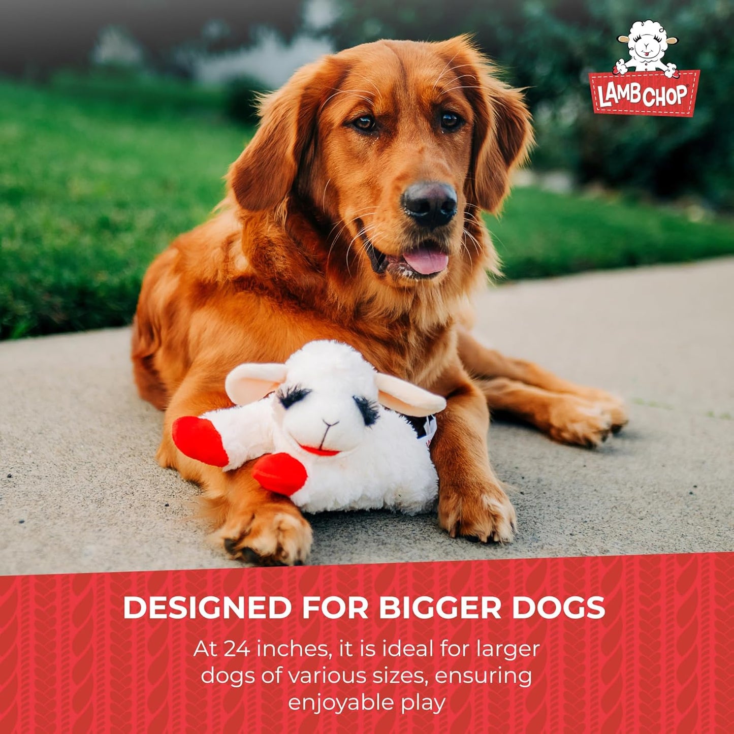 Multipet Lamb Chop Dog Plush Toy - Squeaky Toy for All Dogs - Jumbo (24", Cream)