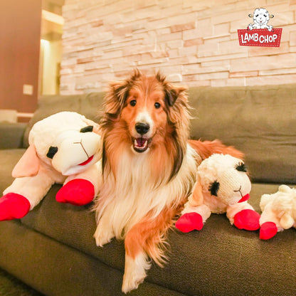 Multipet Lamb Chop Dog Plush Toy - Squeaky Toy for All Dogs - Jumbo (24", Cream)