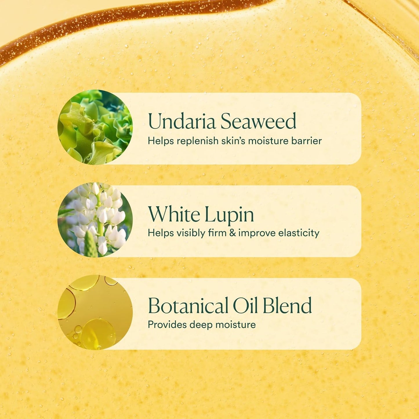 OSEA Undaria Algae Body Oil 5 oz – Visibly Firming, Deeply Moisturizing, Instantly Improve Elasticity, Clean Lightweight Non-Greasy Hydration, Vegan & Cruelty-Free Seaweed Skincare..