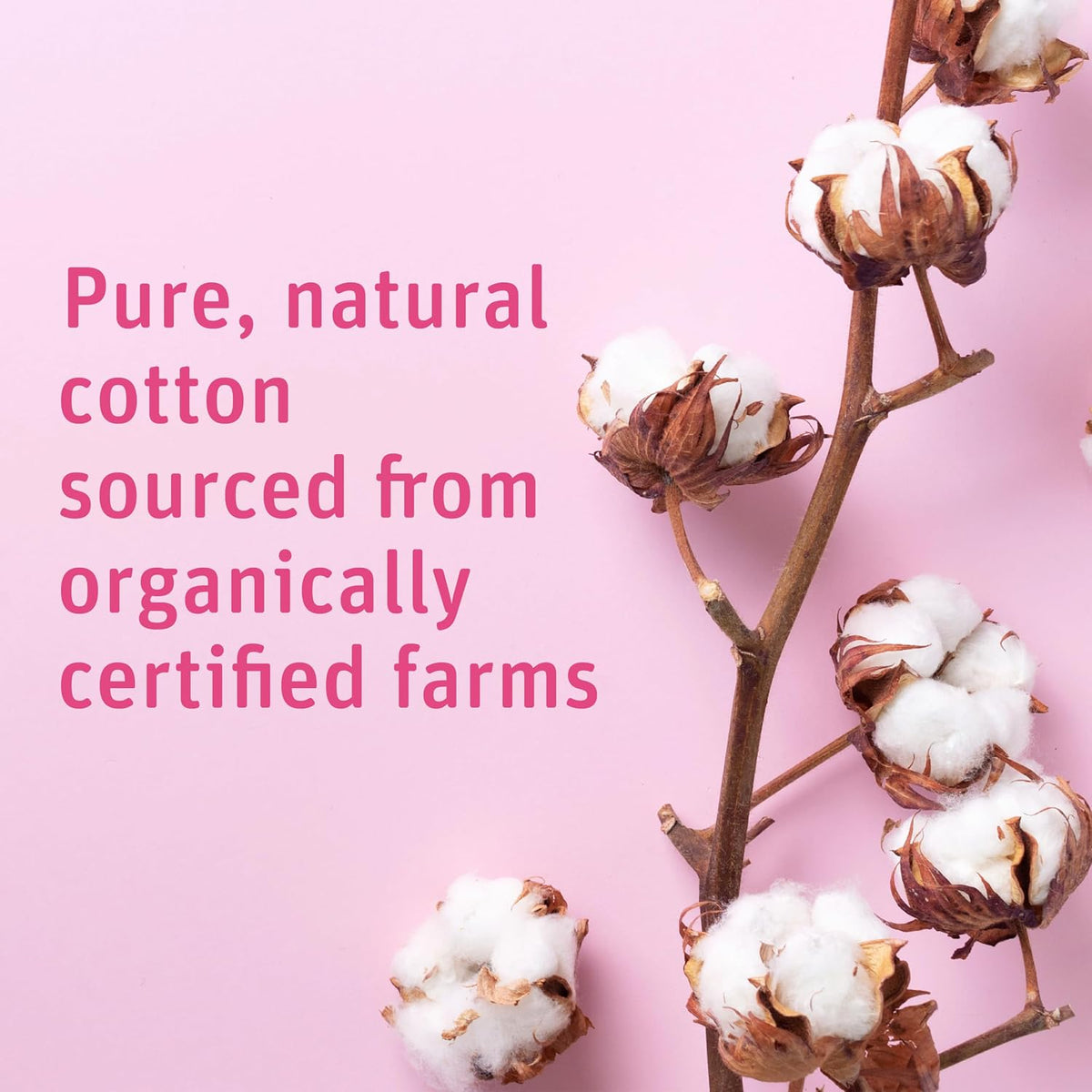 Simply Soft Premium Organic Cotton Balls, 600 Count (3 Bags) 100% Pure Cotton..