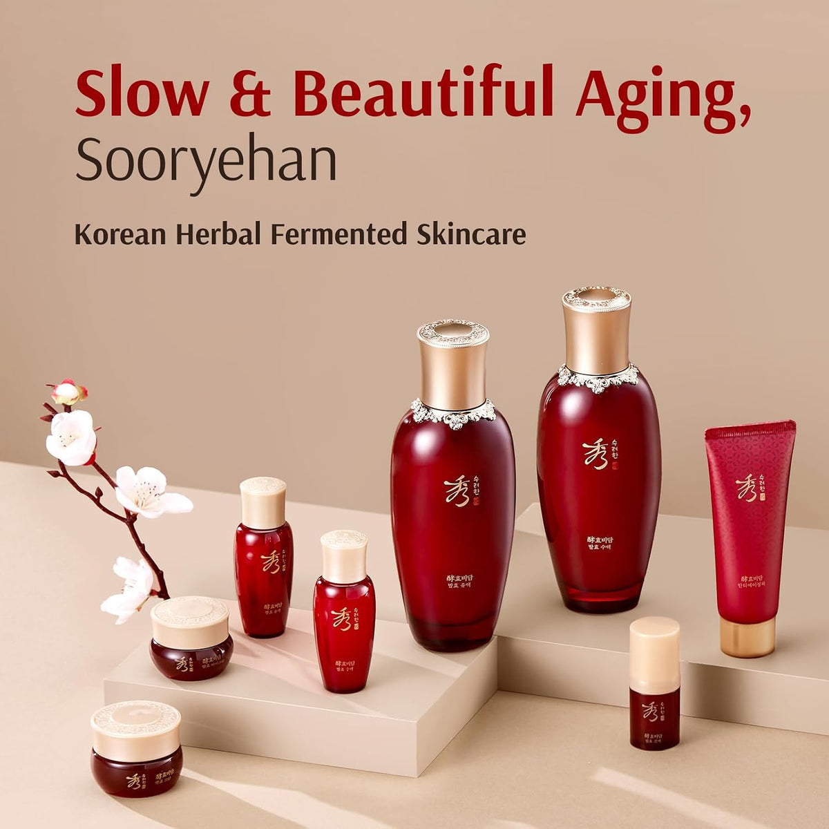 Sooryehan Hyobidam Fermented Skincare Gift Set with Wild Ginseng