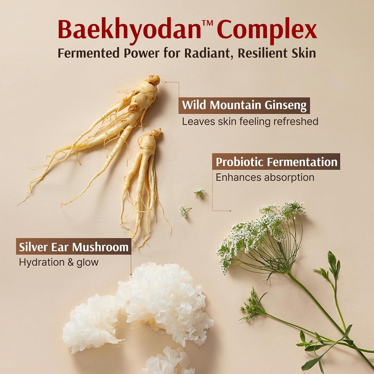 Sooryehan Hyobidam Fermented Skincare Gift Set with Wild Ginseng