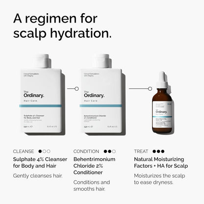 The Ordinary Hair Care Natural Moisturizing Factors + Hyaluronic Acid, Lightweight Hydrating Scalp Serum..