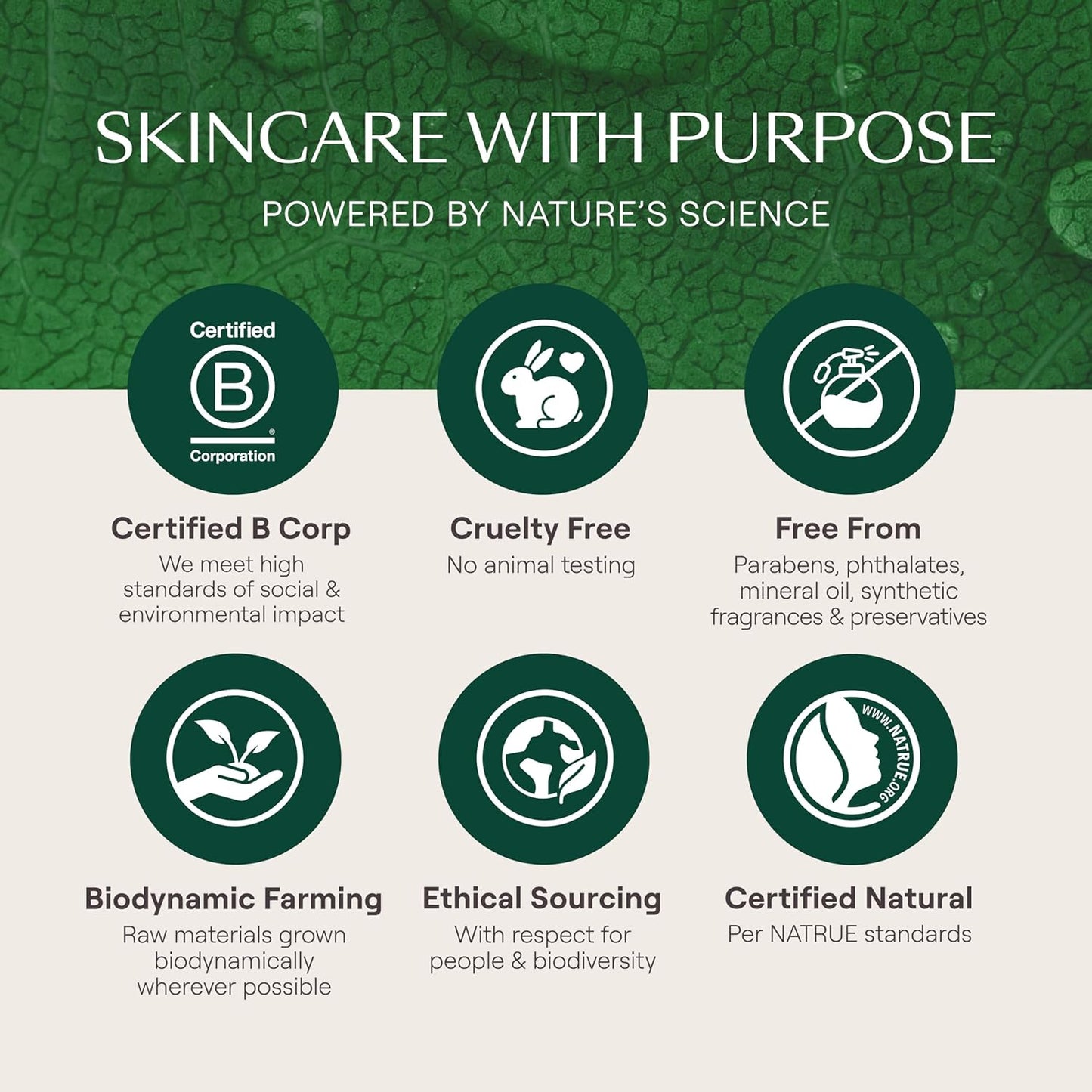 Weleda Skin Food Original Ultra-Rich Body Cream 2.5 Fluid Ounce, Plant Rich Hydrating Moisturizer with Pansy, Chamomile and Calendula
