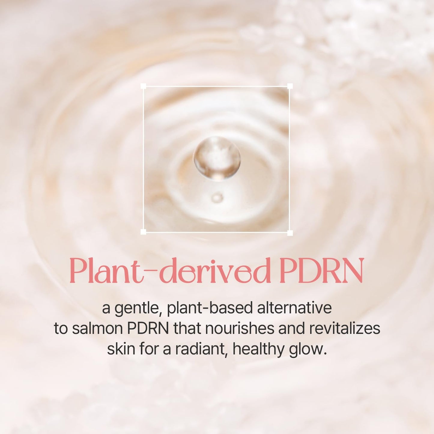mixsoon PDRN Collagen Tinted Moisturizer - Skincare-Infused Base with Rice PDRN & Peptides |1.69 fl.oz. Korean Glass Skin (No. 23 Aura)