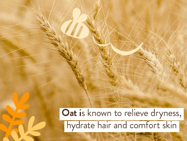 Babo Botanicals Moisturizing Oat & Calendula 2-in-1 Shampoo & Wash – Gentle Cleansing for Dry or Sensitive Skin..